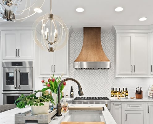 Stainless ventilation wood hood range